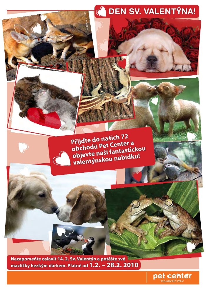 leták Pet Center strana 1 leták Pet Center strana 1