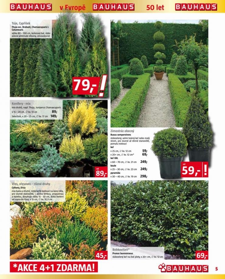 let�k Bauhaus ak�n� let�k strana 1