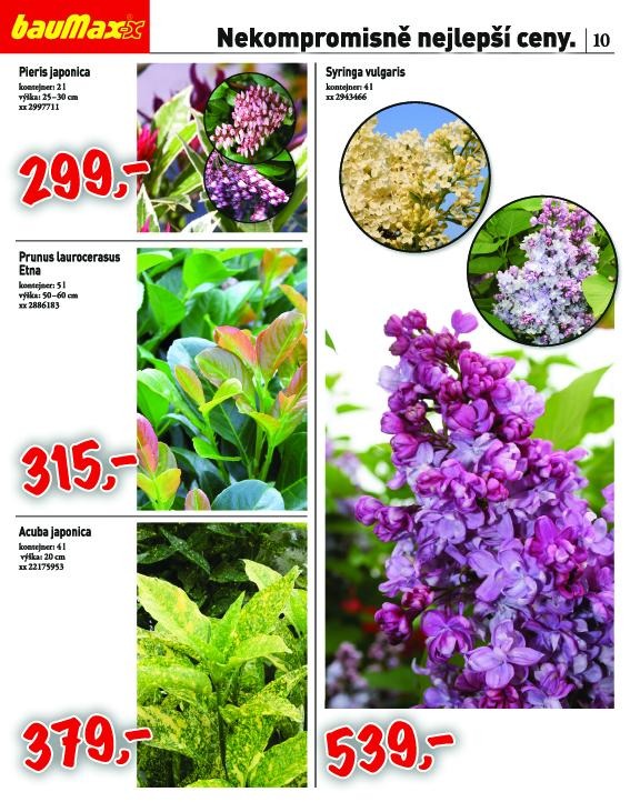 let�k Baumax ak�n� let�k strana 1