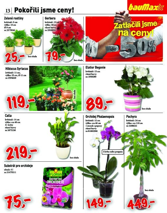 let�k Baumax ak�n� let�k strana 1