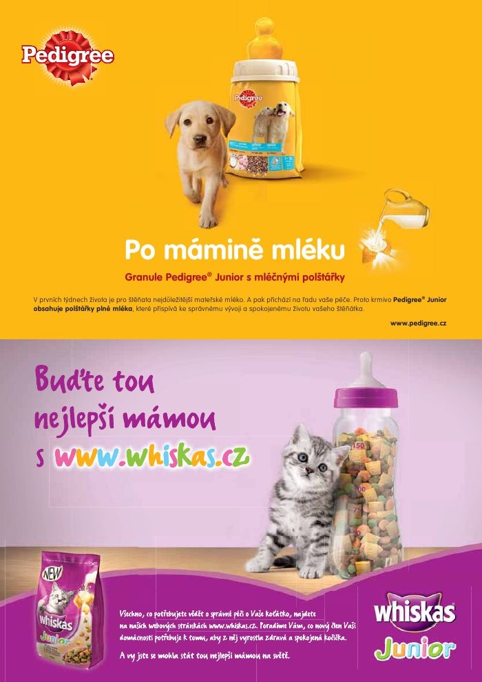 let�k Pet Center strana 1