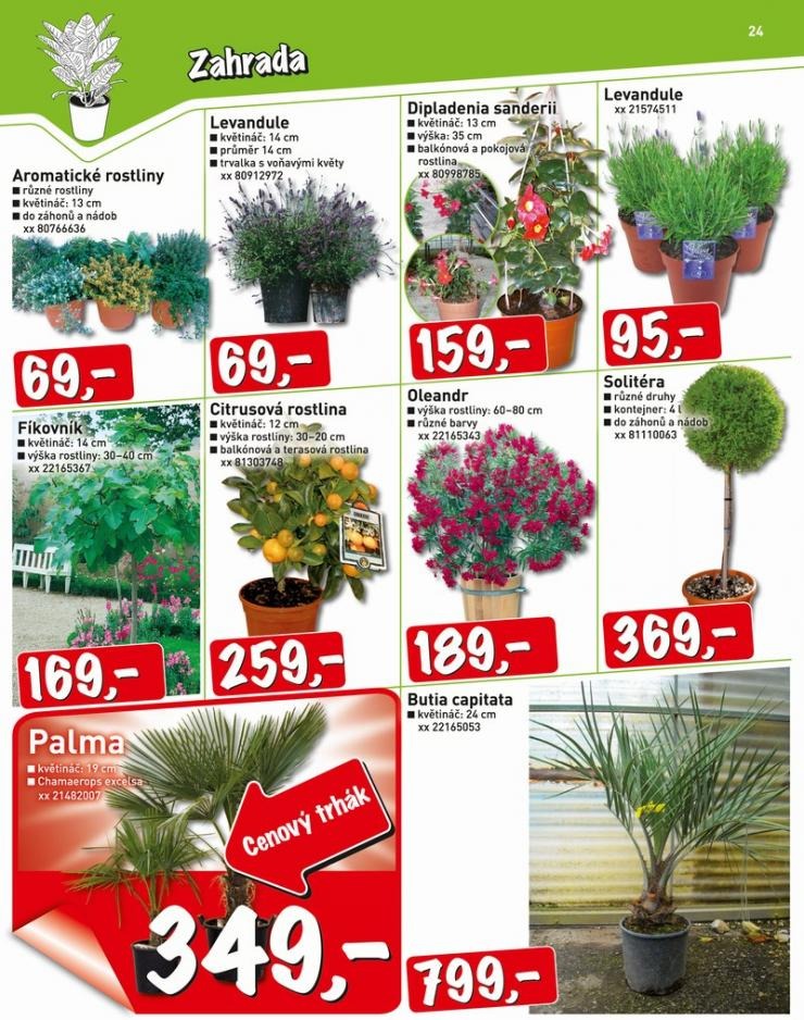 let�k Baumax ak�n� let�k strana 1