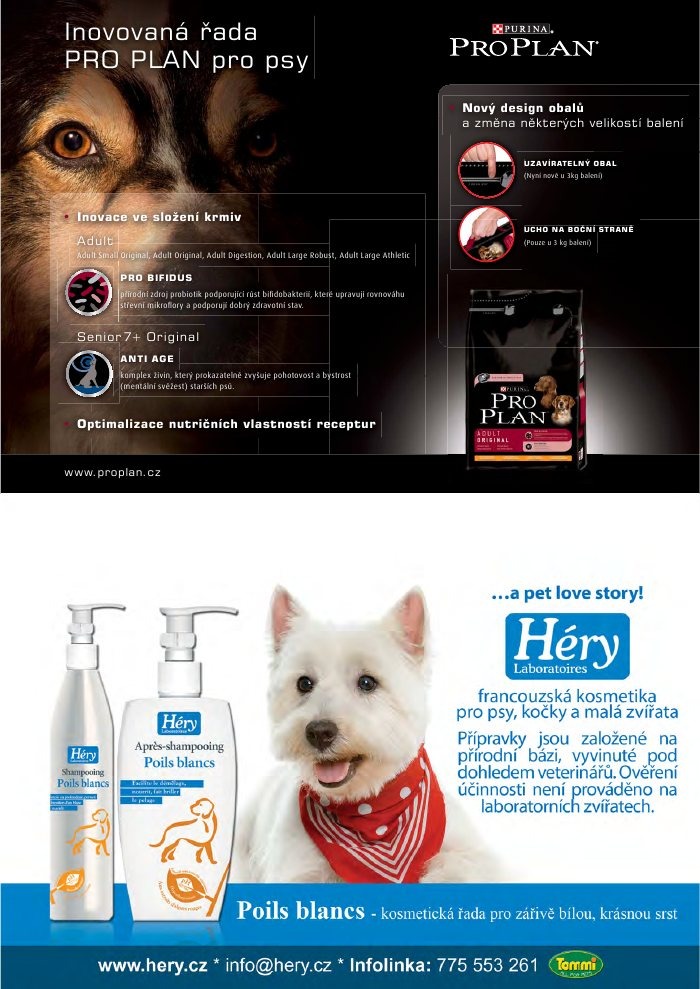 let�k Pet Center strana 1