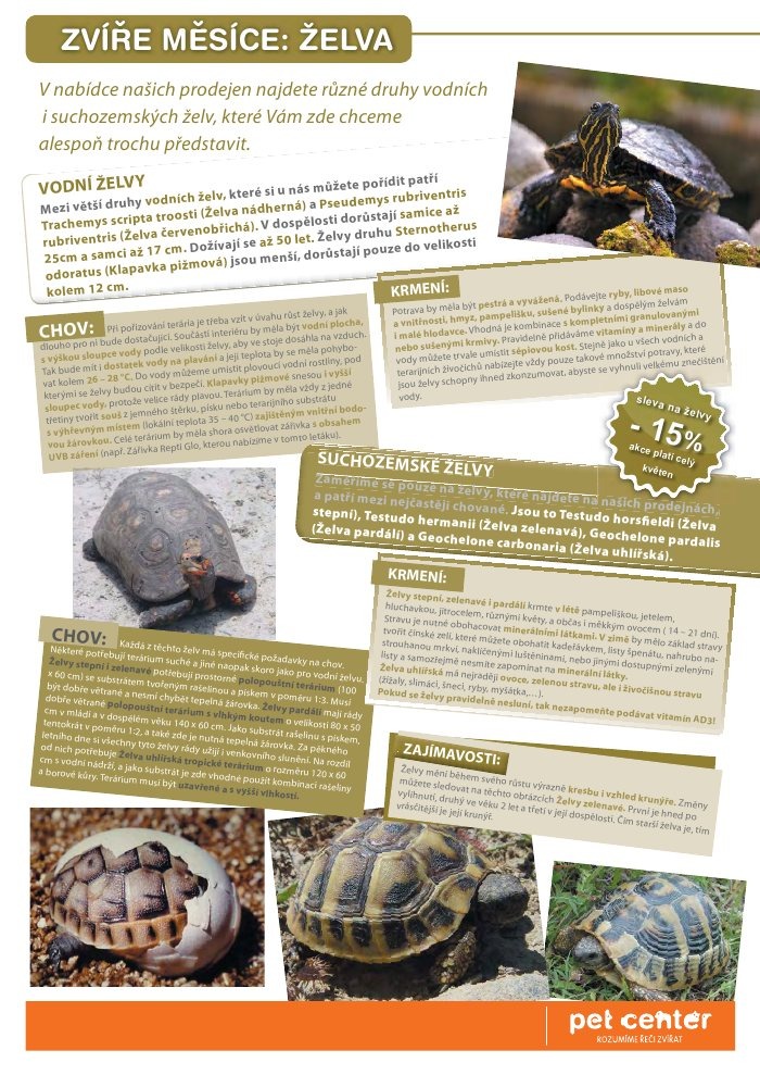 let�k Pet Center strana 1