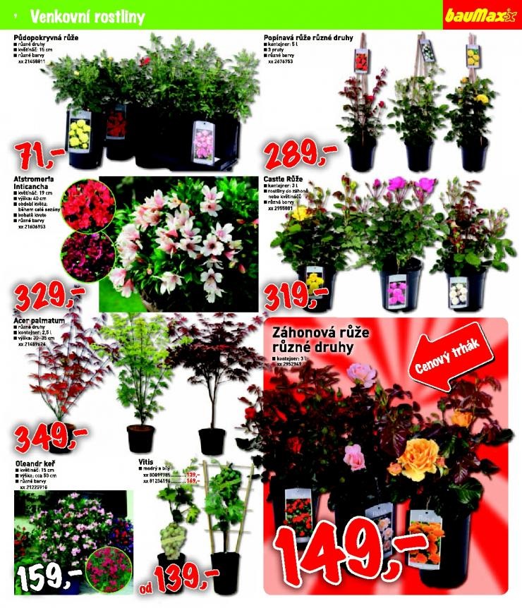 let�k Baumax ak�n� let�k strana 1