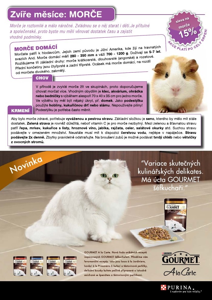 let�k Pet Center strana 1