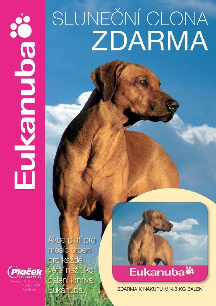 let�k Pet Center strana 1