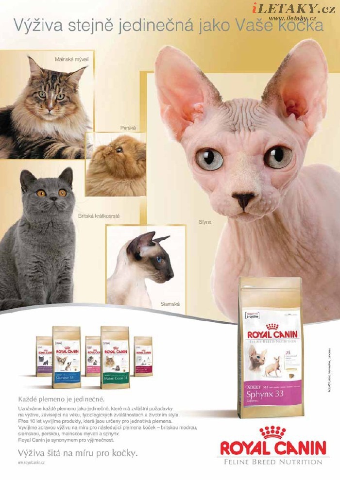 let�k Pet Center strana 1