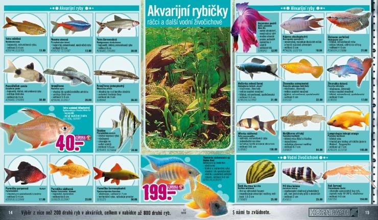 let�k Hornbach ak�n� let�k strana 1