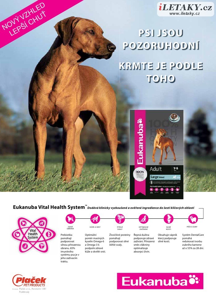 let�k Pet Center strana 1