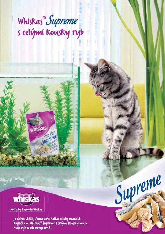 leták Pet Center strana 1 leták Pet Center strana 1