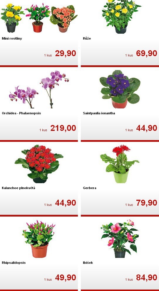 leták Kaufland strana 1 leták Kaufland strana 1