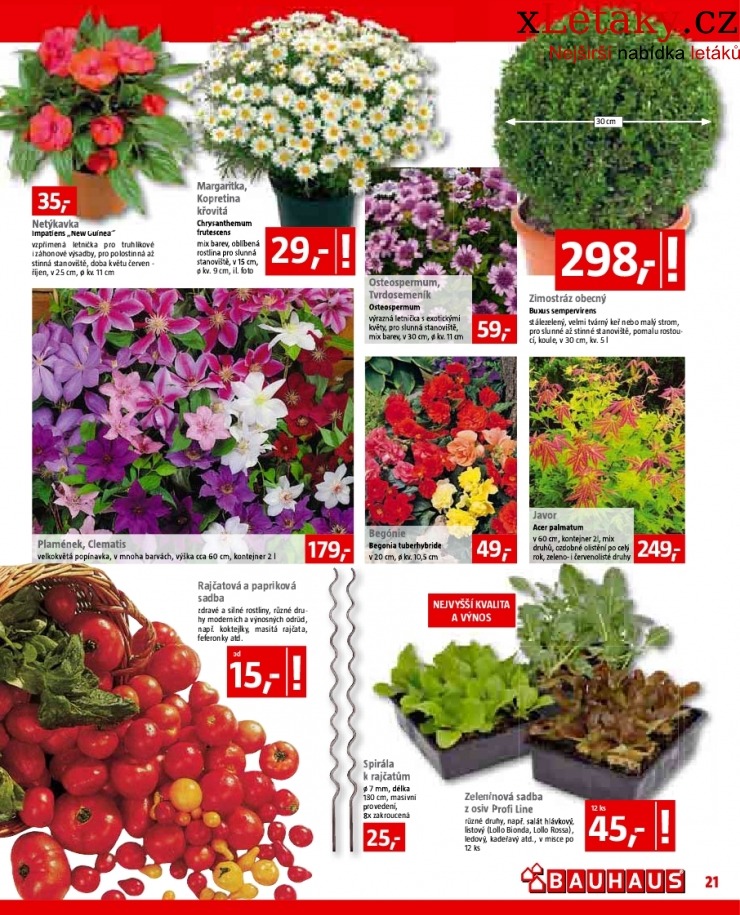 let�k Bauhaus let�k strana 1