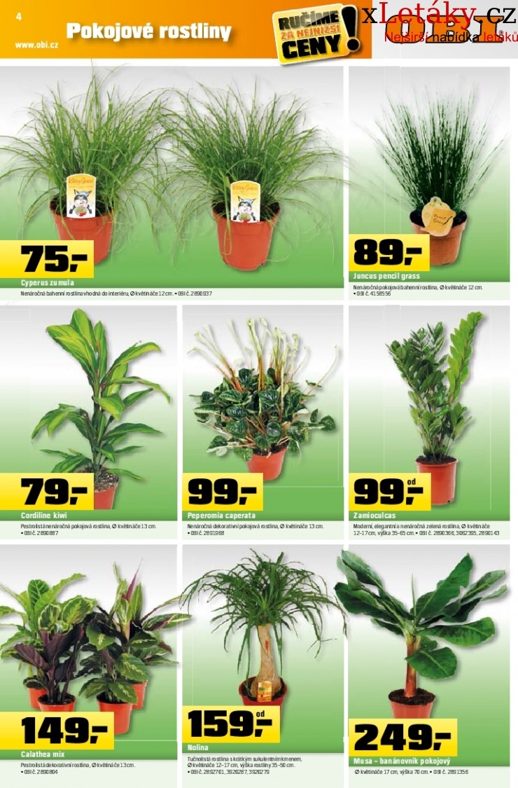 let�k OBI let�k strana 1