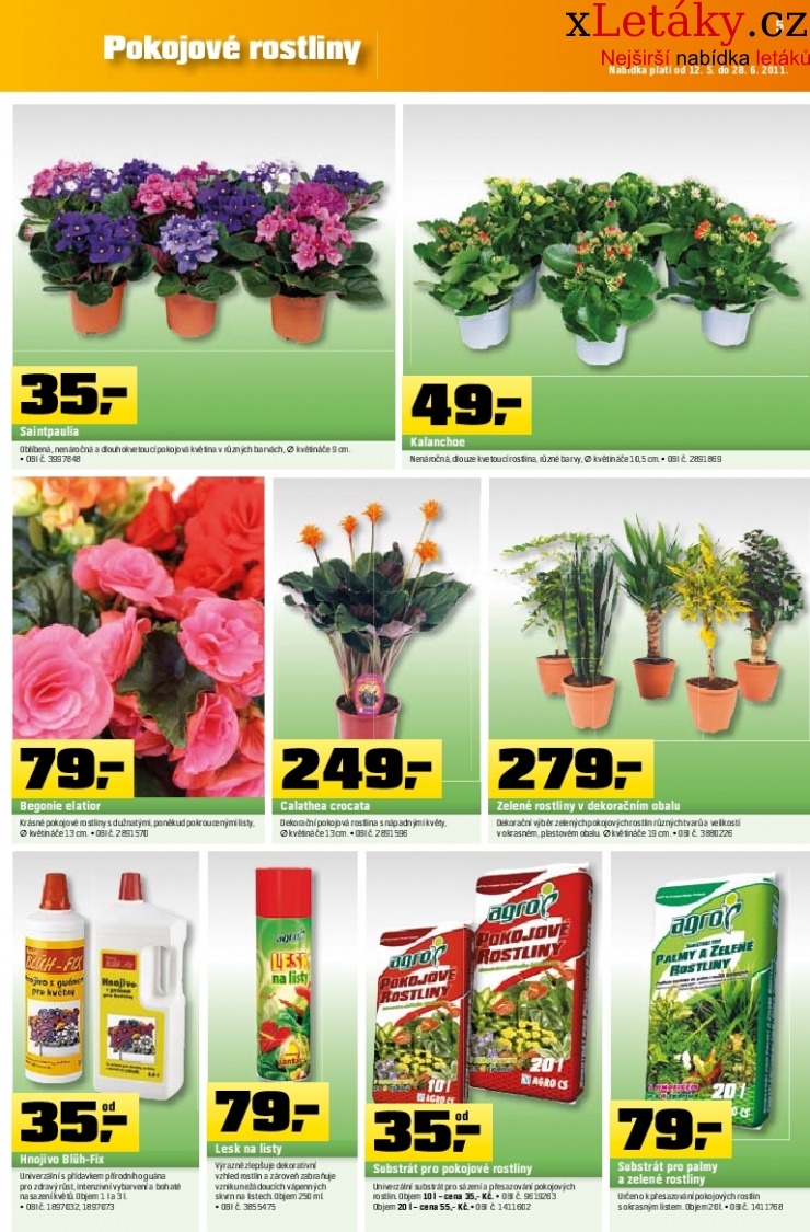 let�k OBI let�k strana 1