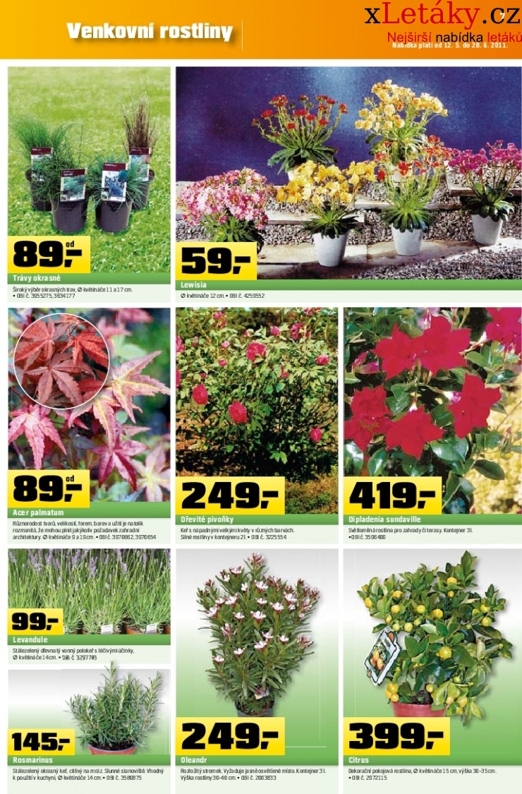 let�k OBI let�k strana 1