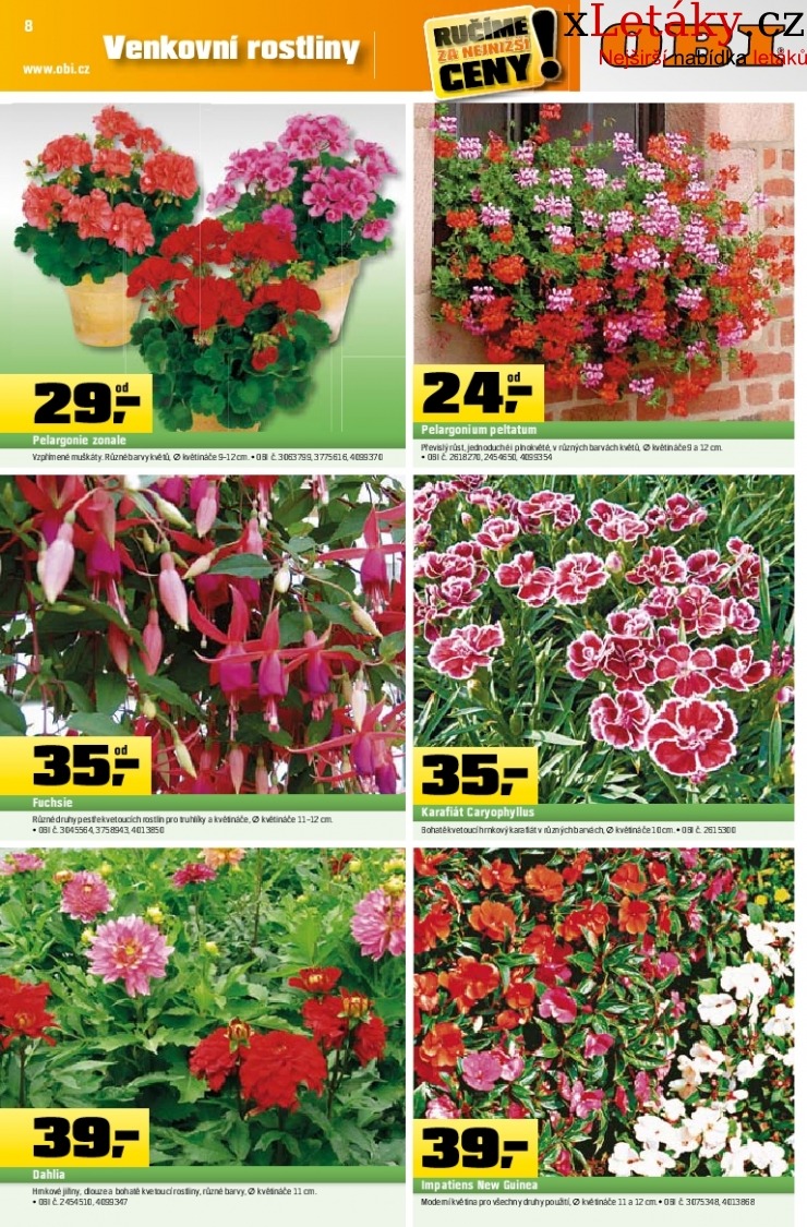 let�k OBI let�k strana 1