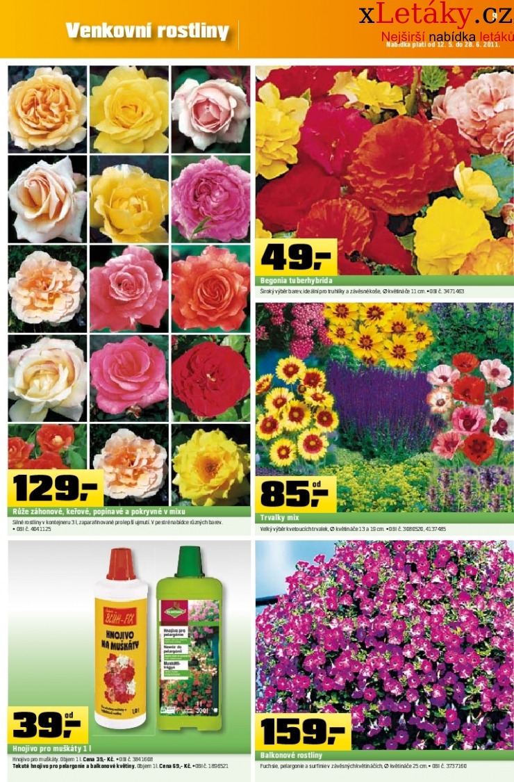 let�k OBI let�k strana 1