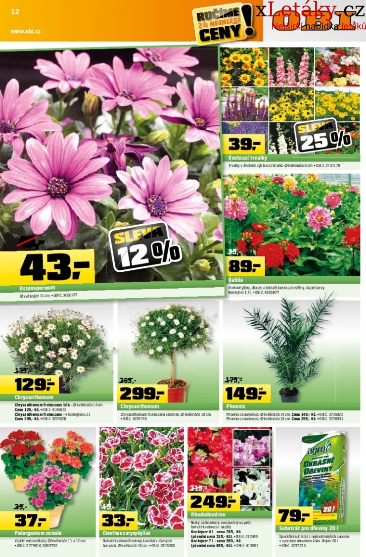 let�k OBI let�k strana 1