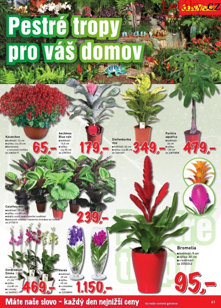 let�k Baumax aktu�ln� let�k strana 1