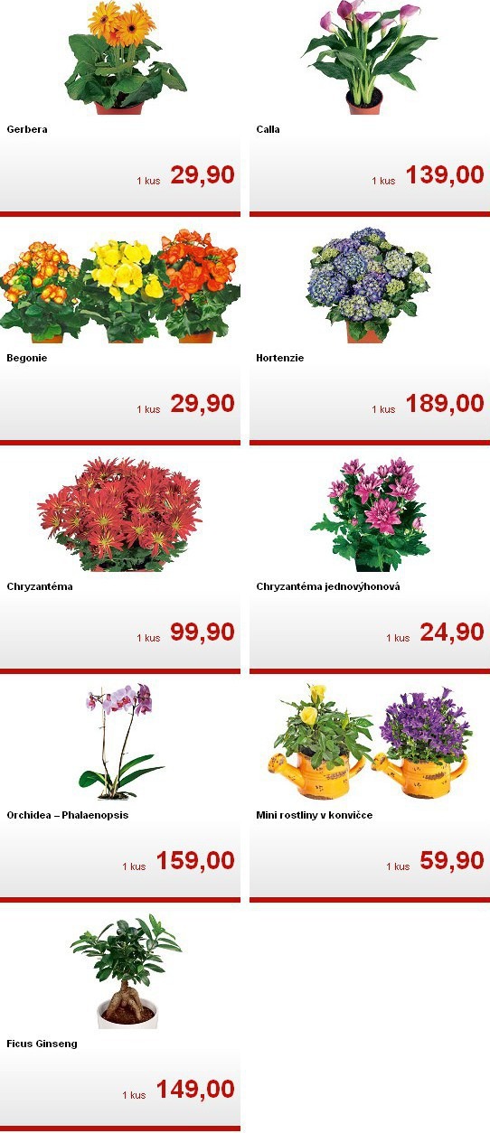 leták Kaufland strana 1 leták Kaufland strana 1