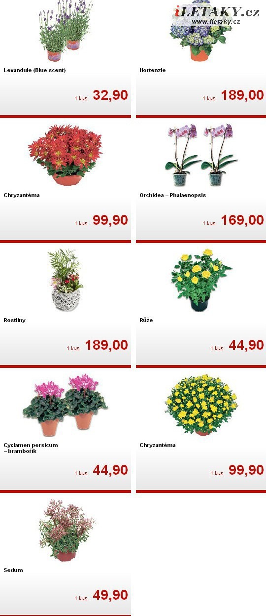 leták Kaufland strana 1 leták Kaufland strana 1
