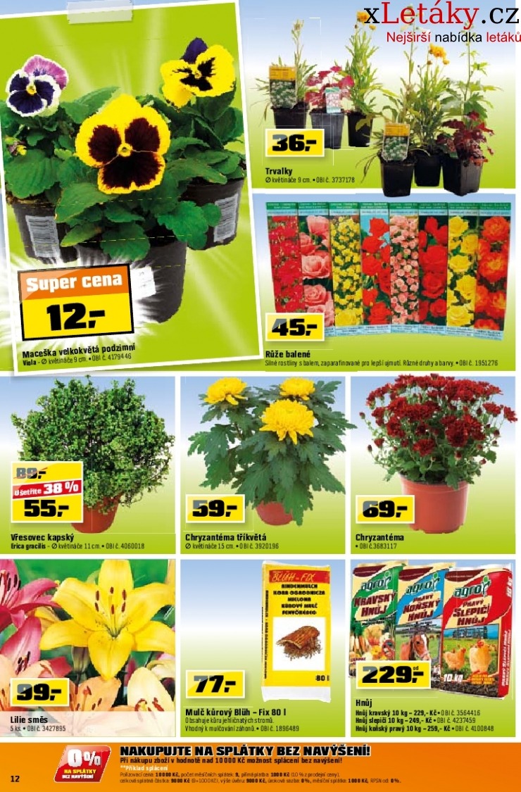 let�k OBI let�k strana 1