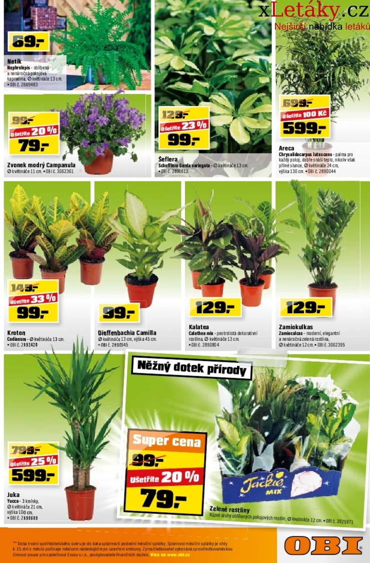 let�k OBI let�k strana 1