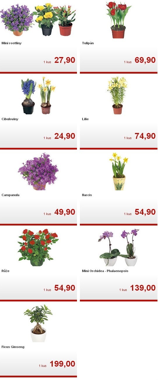 leták Kaufland strana 1 leták Kaufland strana 1