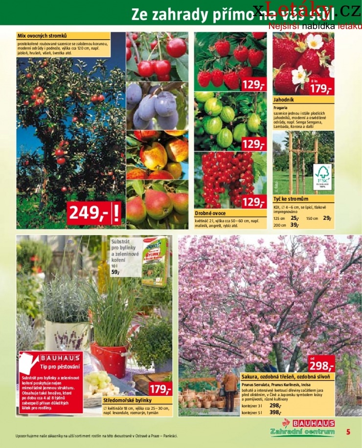 let�k Bauhaus let�k strana 1