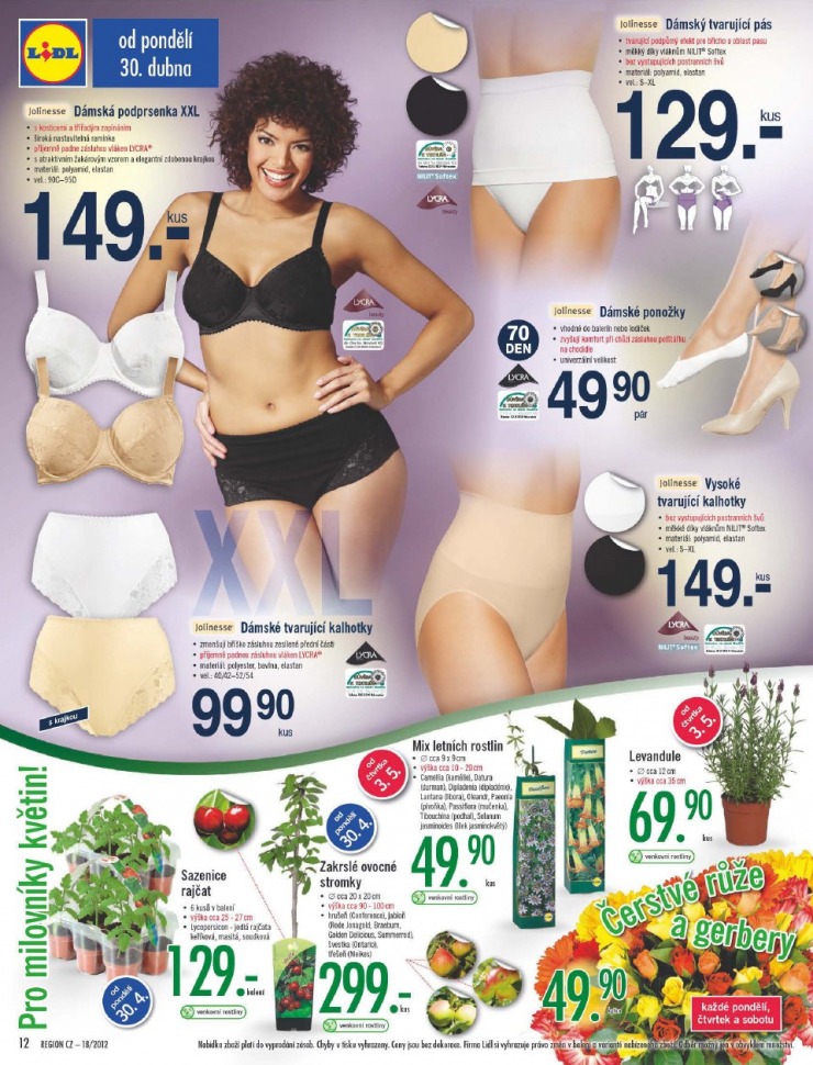 let�k Lidl strana 1