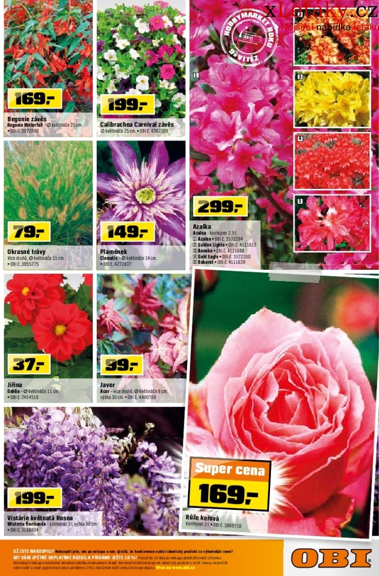 let�k OBI let�k strana 1