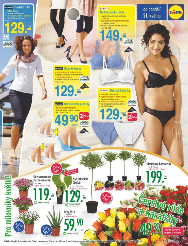 let�k Lidl strana 1