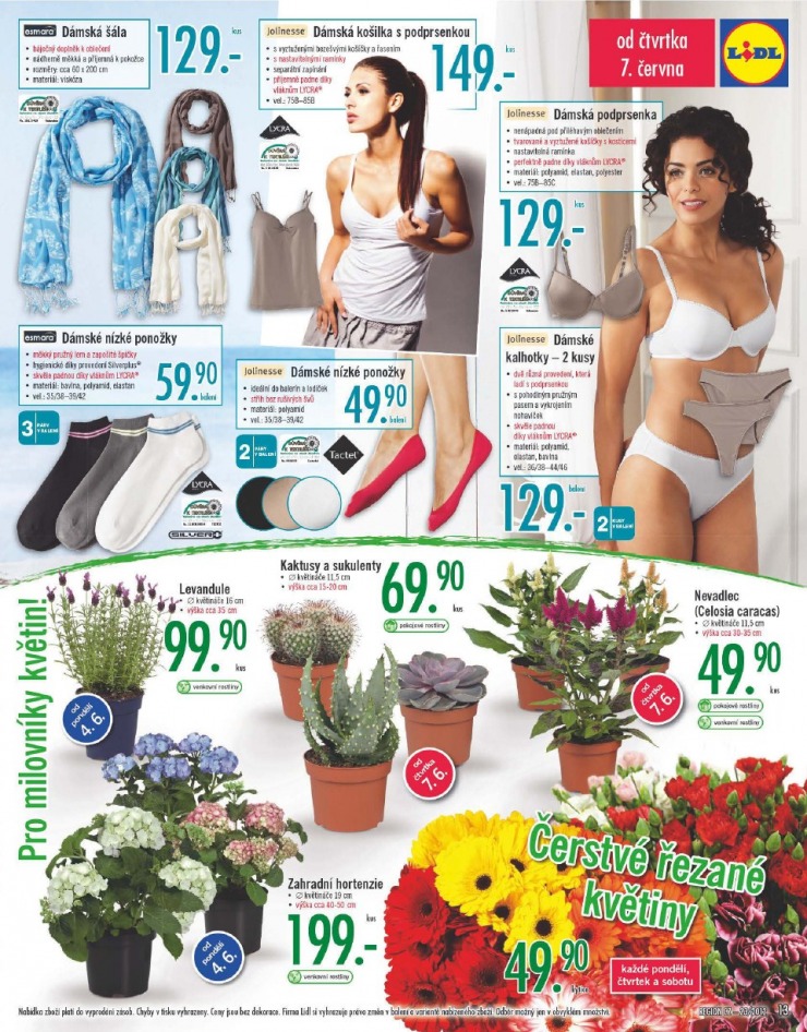 let�k Lidl strana 1