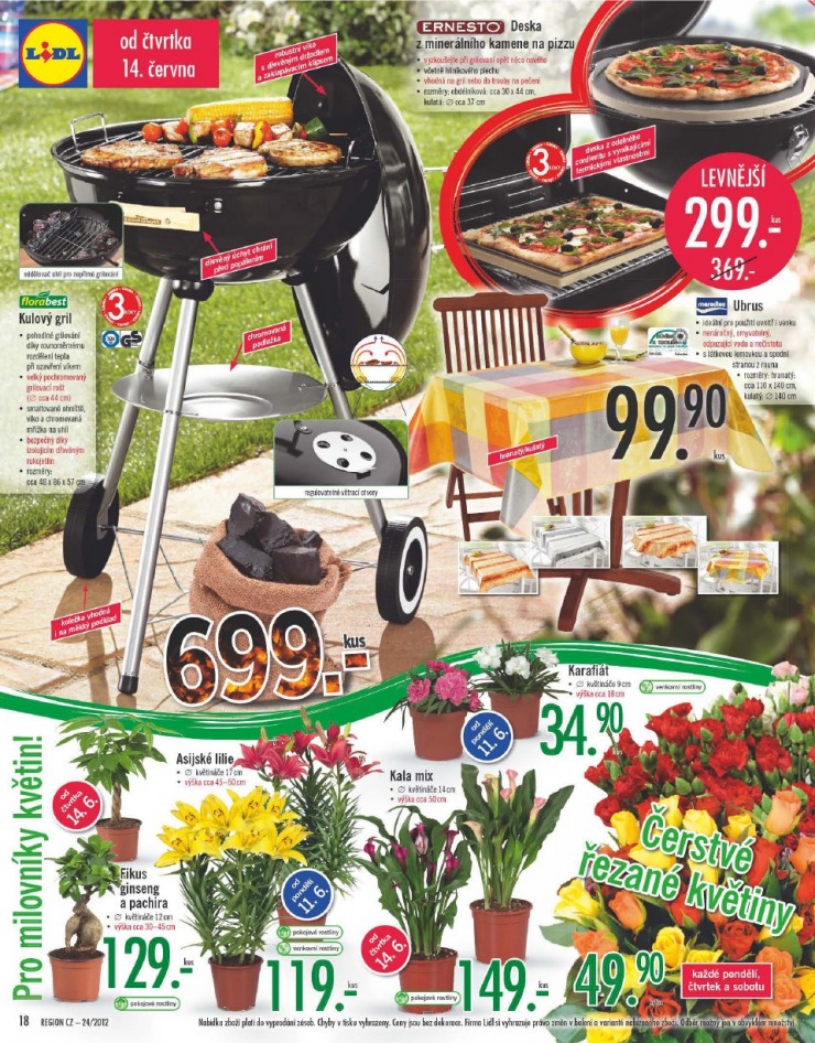 let�k Lidl strana 1