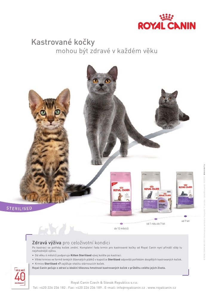 let�k Pet Center strana 1
