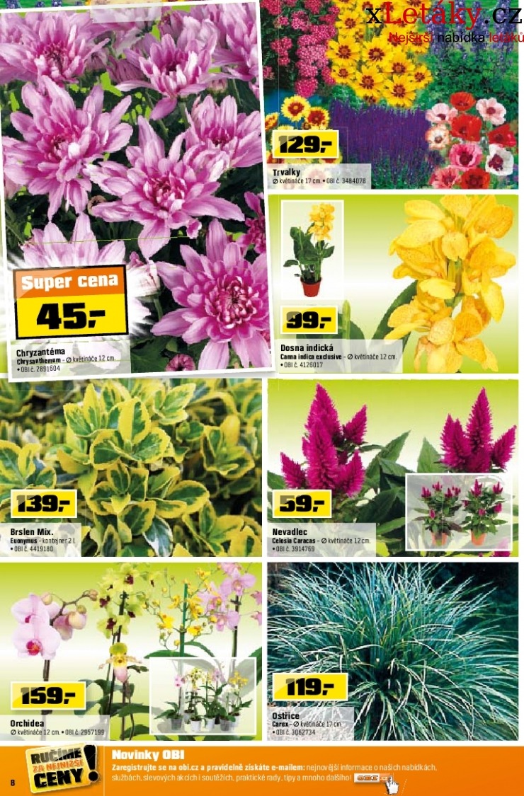 let�k OBI let�k strana 1