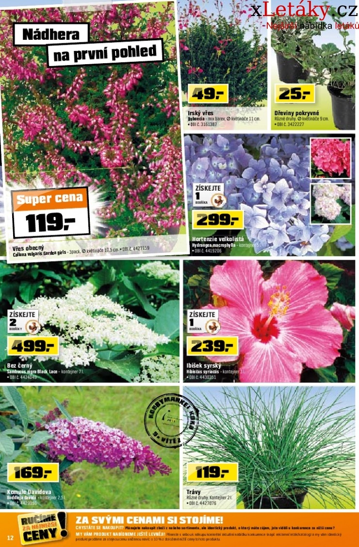 let�k OBI let�k strana 1