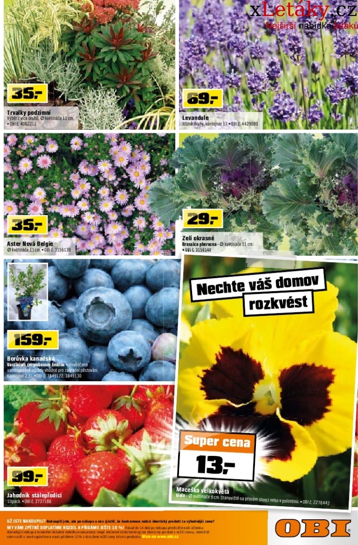 let�k OBI let�k strana 1