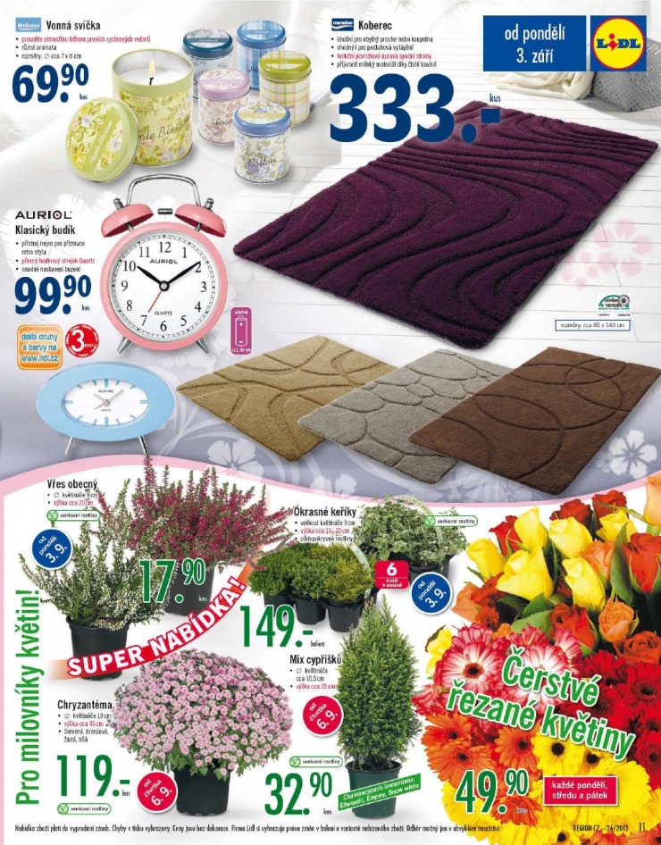 let�k Lidl strana 1