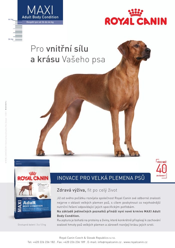 let�k Pet Center strana 1