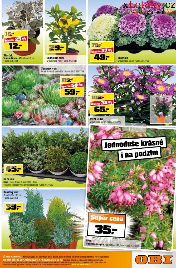 let�k OBI let�k strana 1