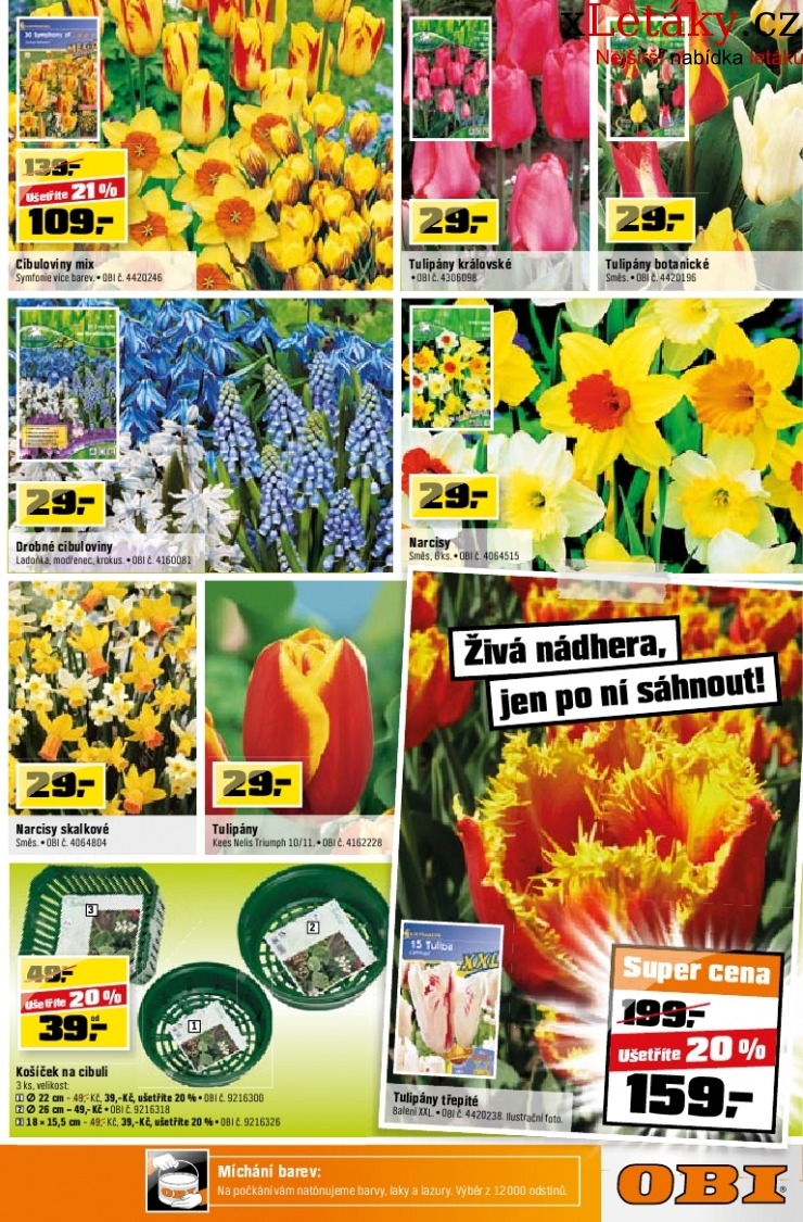 let�k OBI let�k strana 1