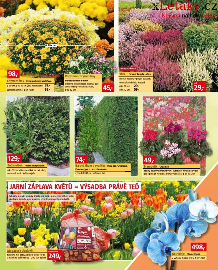 let�k Bauhaus let�k strana 1