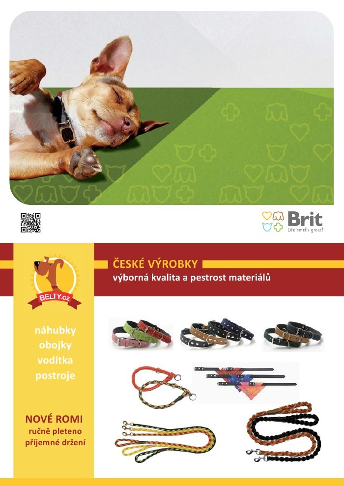 let�k Pet Center strana 1