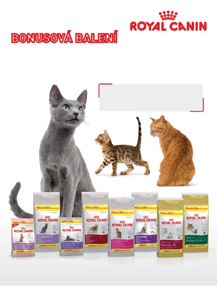 let�k Pet Center strana 1