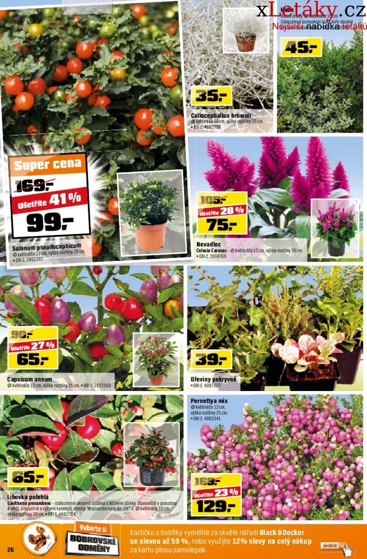 let�k OBI let�k strana 1