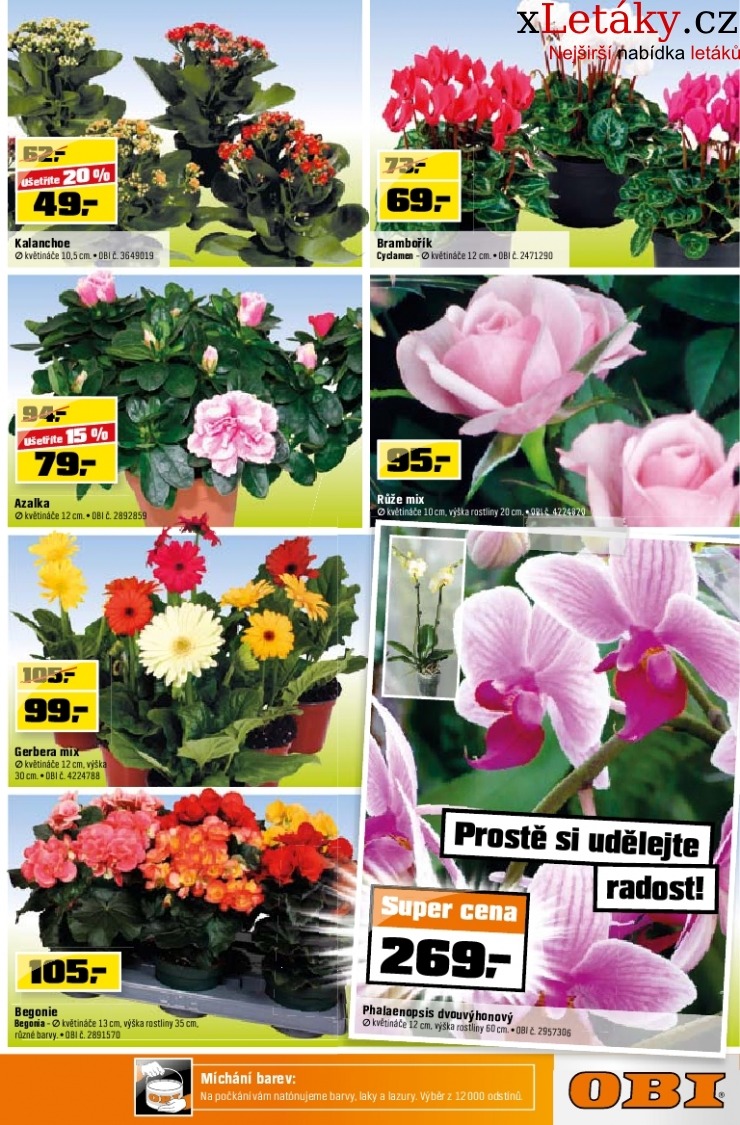 let�k OBI let�k strana 1