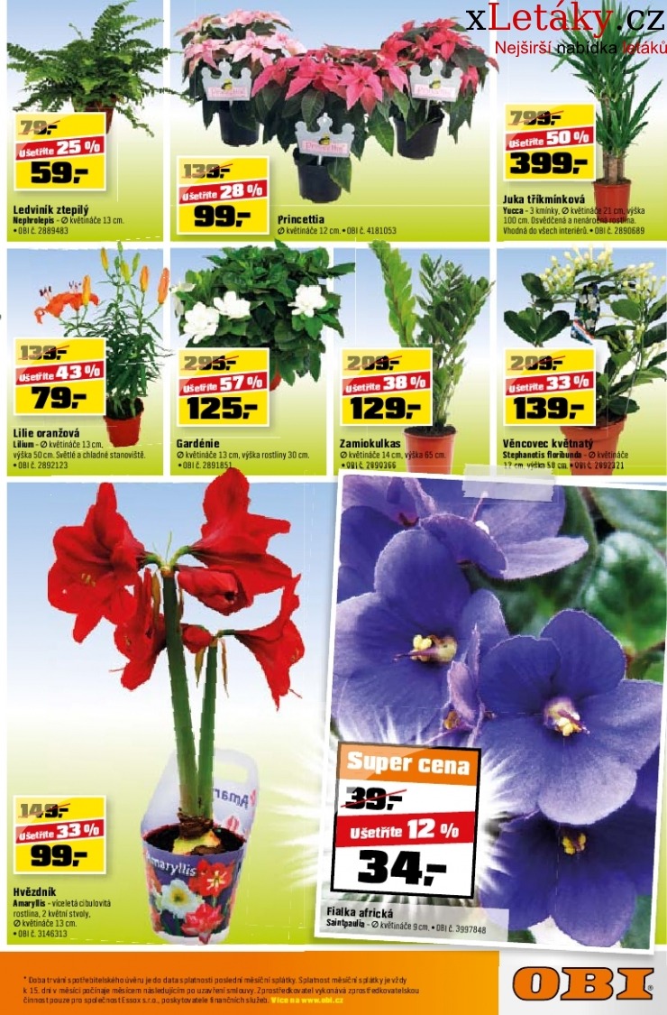 let�k OBI let�k strana 1