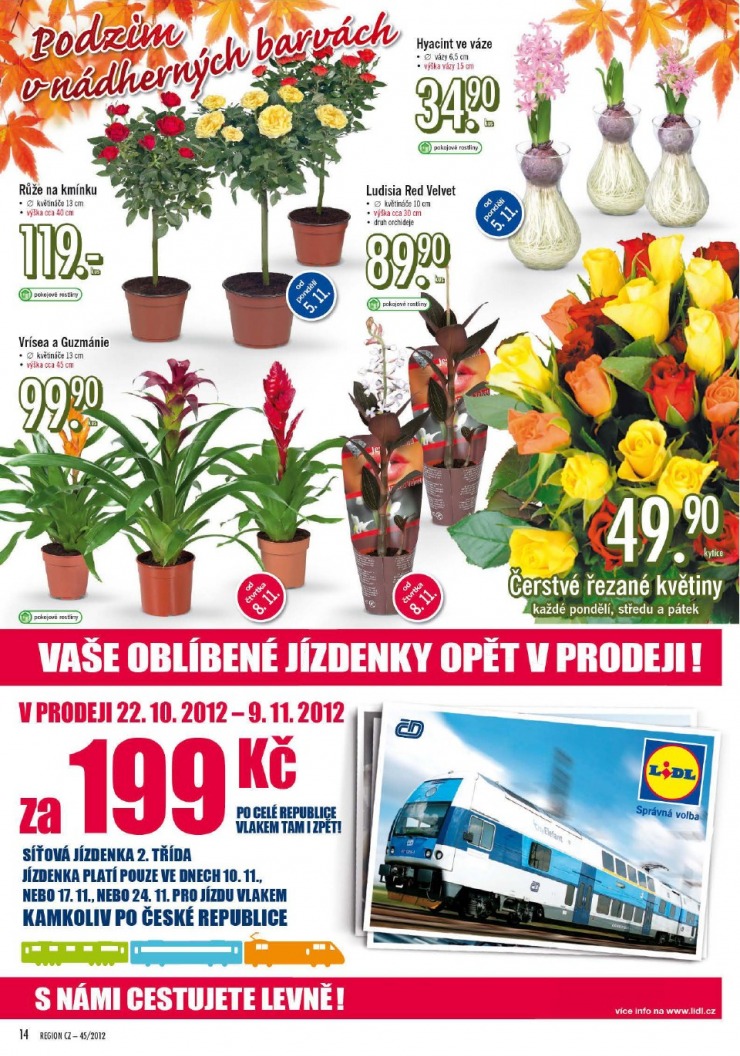 let�k Lidl strana 1